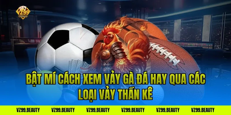 Bật Mí Cách Xem Vảy Gà Đá Hay Qua Các Loại Vảy Thần Kê