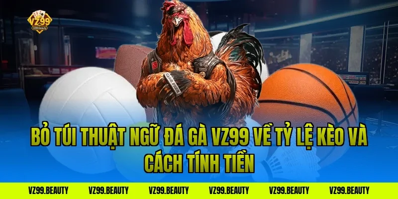 Bỏ Túi Thuật Ngữ Đá Gà VZ99 Về Tỷ Lệ Kèo Và Cách Tính Tiền