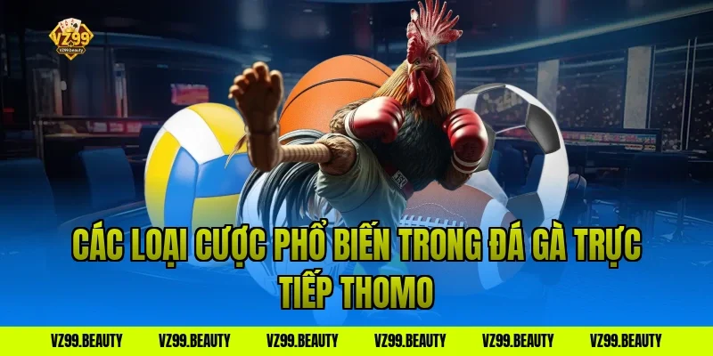 Các loại cược phổ biến trong đá gà trực tiếp thomo