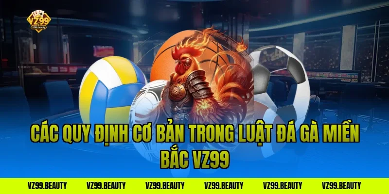 Các quy định cơ bản trong Luật Đá Gà Miền Bắc VZ99