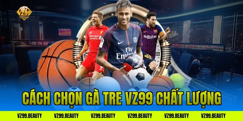 Cách chọn gà tre VZ99 chất lượng