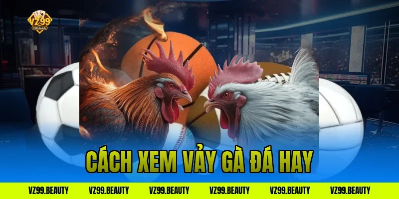Cách Xem Vảy Gà Đá Hay VZ99: Chọn Chiến Kê Bất Bại Liền