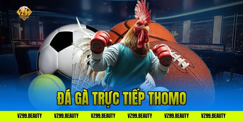 Đá Gà Trực Tiếp Thomo VZ99: Xem Live Mượt, Cược Thả Ga