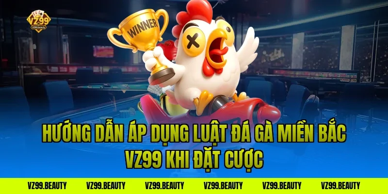 Hướng dẫn áp dụng Luật Đá Gà Miền Bắc VZ99 khi đặt cược