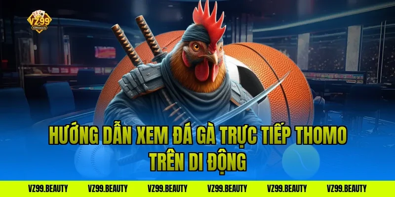 Hướng dẫn xem đá gà trực tiếp thomo trên di động