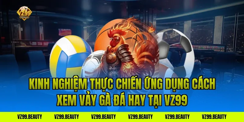 Kinh Nghiệm Thực Chiến Ứng Dụng Cách Xem Vảy Gà Đá Hay Tại VZ99