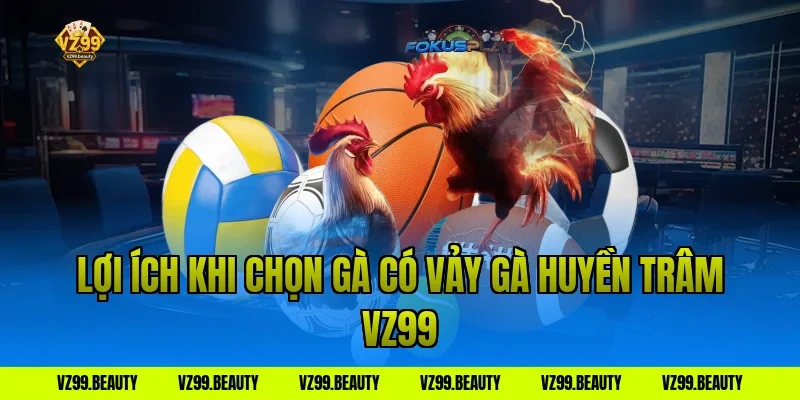 Lợi ích khi chọn gà có vảy gà huyền trâm vz99