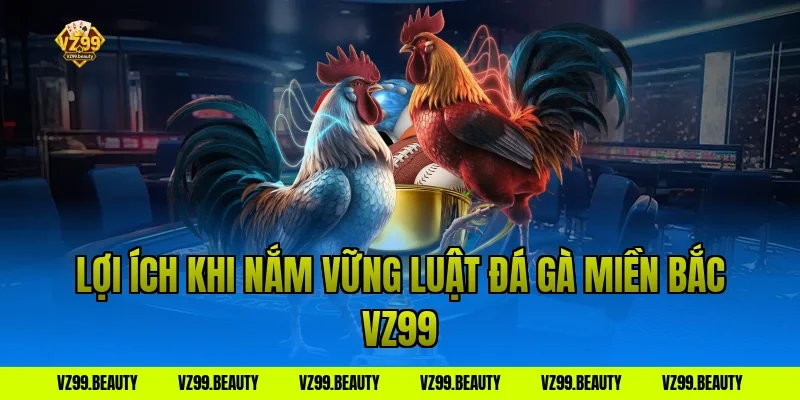 Lợi ích khi nắm vững Luật Đá Gà Miền Bắc VZ99