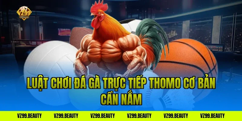 Luật chơi đá gà trực tiếp thomo cơ bản cần nắm