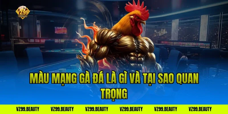 Màu mạng gà đá là gì và tại sao quan trọng