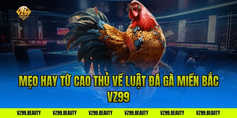 Mẹo hay từ cao thủ về Luật Đá Gà Miền Bắc VZ99