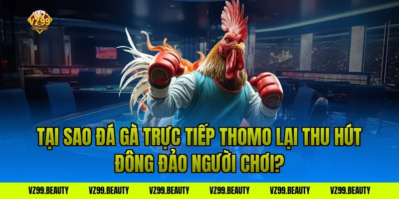 Tại sao đá gà trực tiếp thomo lại thu hút đông đảo người chơi?