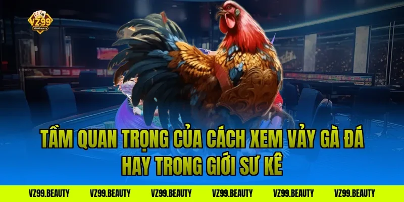 Tầm Quan Trọng Của Cách Xem Vảy Gà Đá Hay Trong Giới Sư Kê