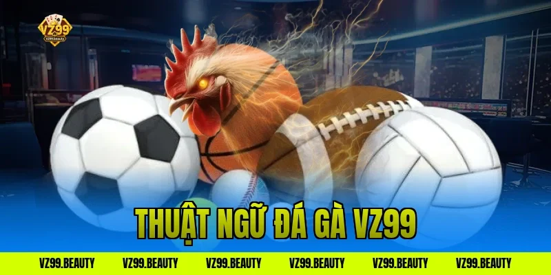 Thuật Ngữ Đá Gà VZ99 Mới Nhất Dân Chơi Cần Biết Ngay Nè