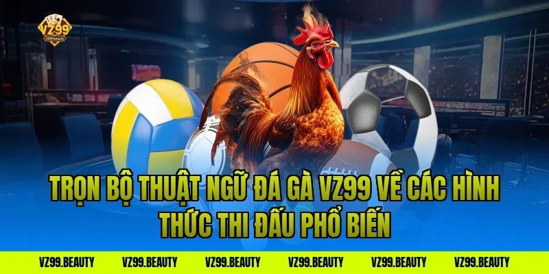 Trọn Bộ Thuật Ngữ Đá Gà VZ99 Về Các Hình Thức Thi Đấu Phổ Biến