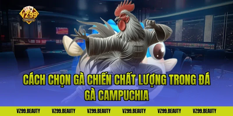 Cách Chọn Gà Chiến Chất Lượng Trong Đá Gà Campuchia