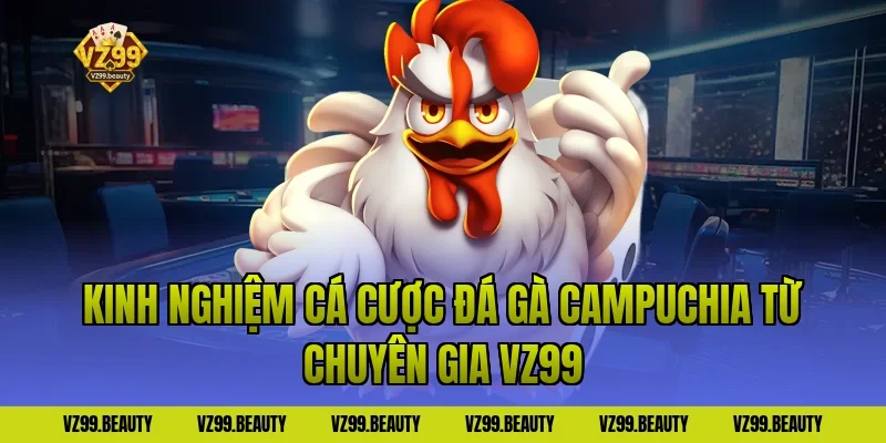 Kinh Nghiệm Cá Cược Đá Gà Campuchia Từ Chuyên Gia VZ99
